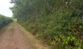 Excursión Ruta Chouain - 20190816 Éoliennes Christot Audrieu Ducy Condé chemin des mûres  - Photo 1