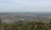 Tocht Stappen Eguisheim - Rando des cinq châteaux  - Photo 16