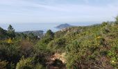 Tocht Stappen Saint-Raphaël - Le drapeau - Photo 2