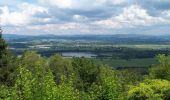 Percorso A piedi Žďár - CZ-Březina - Příhrazy (modrá) - Photo 1