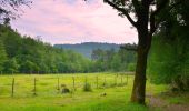 Tocht Stappen Méounes-lès-Montrieux - SityTrail - montrieux gapeau - Photo 2