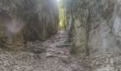 Trail Walking Seyssinet-Pariset - tour st venin - Photo 1