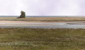 Tocht Te voet Maasholm - Route Maasholm-Schleimünde - Photo 4