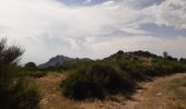 Trail Walking L'Albère - col ullat.  roc del grevol.  col sant joan . col de la font . puig sant christau . puig d orella . col d ullat - Photo 9