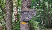 Tocht Stappen Ax-les-Thermes - chemin de petch - Photo 3