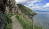 Tocht Te voet Onbekend - Bray Greystones Cliff Walk - Photo 5