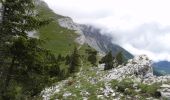 Percorso Marcia Corrençon-en-Vercors - Le Pas de la Balme - Corrençon-en-Vercors - Photo 6