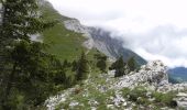 Randonnée Marche Corrençon-en-Vercors - Le Pas de la Balme - Corrençon-en-Vercors - Photo 6