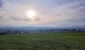 Tour Wandern Saint-Hubert - rando arville 7-12-2023 - Photo 5