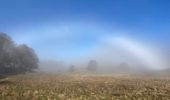 Trail Walking Recoules-d'Aubrac - Pont gourmier Recoules Nasbinals Le Bes - Photo 4