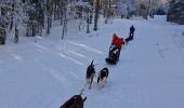 Trail Snowshoes Bouvante - 20240120fonturle2 - Photo 1