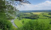 Trail Walking Esneux - La Boucle de l'Ourthe - Photo 2