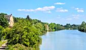 Tour Zu Fuß Joigny - Boucle 25 km Joigny La Roche - Photo 5