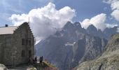 Trail Walking Vallouise-Pelvoux - 05-pre-Mme-Carle-refuge-glacier-blanc-10km690m - Photo 2