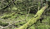 Trail Walking Jemeppe-sur-Sambre - menhir - Photo 6