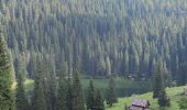 Tour Wandern Wochein - Etape 4 : hut to hut  - Photo 11