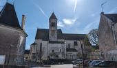 Trail Walking Sainte-Maure-de-Touraine - Sainte-Maure-de-Touraine - Sepmes via PRs - 20.5km 240m 4h35 (50mn) - 2025 03 19 - Photo 11