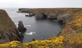 Excursión Senderismo Sauzon - pointe des poulains - Photo 3