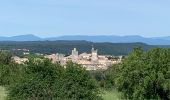 Trail Walking Saint-Maximin - Saint Maximin, boucle  par Saint Siffret - Photo 3