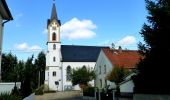 Tour Zu Fuß Feilbingert - Panoramaweg Feilbingert - Photo 1