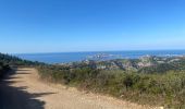 Tocht Stappen Marseille - Les calanques de Cassis . Sugiton Morgiou.Sormiou - Photo 6