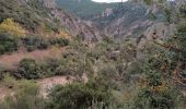 Excursión Senderismo Saint-Raphaël - agay. Le pic des ours depuis la col du lantisque  - Photo 4