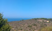 Trail Walking Banyuls-sur-Mer - cap del troc . coll de gran bau . cap réderis . retour par le chemin du littoral  - Photo 15