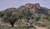 Tour Wandern Saint-Raphaël - Barre du Roussivau - Sommets des Perthus - Photo 3