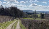 Tocht Stappen Manhay - Malempré Oster Aisne 24,5 km - Photo 20