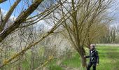 Tour Wandern Holsbeek - Sin Pieter Rode  - Photo 7