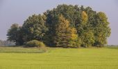 Tocht Te voet Aufseß - Rundweg um Aufseß - Photo 9