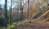 Tour Zu Fuß Lohmar - Rundweg A1 (Naafshäuschen) - Photo 1