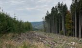 Excursión Senderismo La Roche-en-Ardenne - Ramee  - Photo 2