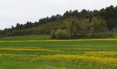 Tocht Stappen Gardanne - mur gueidan - Photo 1