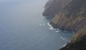 Tour Wandern Machico - Madère : du tunnel de Caniçal à Porto da Cruz - aller en bus - Photo 19