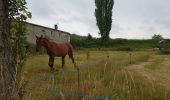 Tour Wandern Ventes-Saint-Rémy - Forêt d'Eawy rando douce - Photo 1