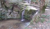 Trail Walking Dullin - 2024 02 22 Dullin Follaton  - Photo 8
