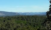 Tour Wandern Saint-Jean-de-Buèges - Vallée de la Buège - Photo 18