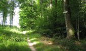 Randonnée Marche Dampleux - en forêt de Retz_82_sur les Routes de la Bruyère aux Loups et de la Chrétiennette - Photo 18