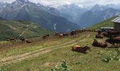 Trail Mountain bike La Plagne-Tarentaise - La Chapelle de Boselet - Photo 12