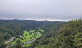 Tocht Stappen Vresse-sur-Semois - rando laforêt 23-08-2024 - Photo 9