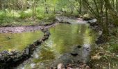 Randonnée Marche Viroinval - Oignies en Thierache 20,7 km - Photo 5