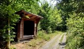 Tocht Te voet Wirsberg - FrankenwaldSteigla Franzosenweg - Photo 3