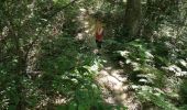 Trail Walking Vendôme - bois oratoire - Photo 1