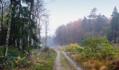 Tour Zu Fuß Oerlinghausen - Holzweg - Photo 4