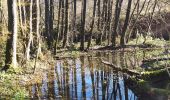 Randonnée Marche Durbuy - Le bois d’En(n)eille(s)  - Photo 5