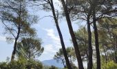 Percorso Marcia Saint-Marc-Jaumegarde - Randonnée des crêtes au départ du barrage de Bimont  - Photo 20