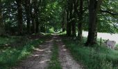 Trail Walking Libramont-Chevigny - Flohimont Freux 29 km - Photo 13