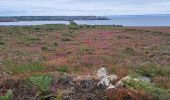 Trail Walking Camaret-sur-Mer - T-St-Julien - Photo 8