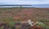 Tour Wandern Camaret-sur-Mer - T-St-Julien - Photo 8